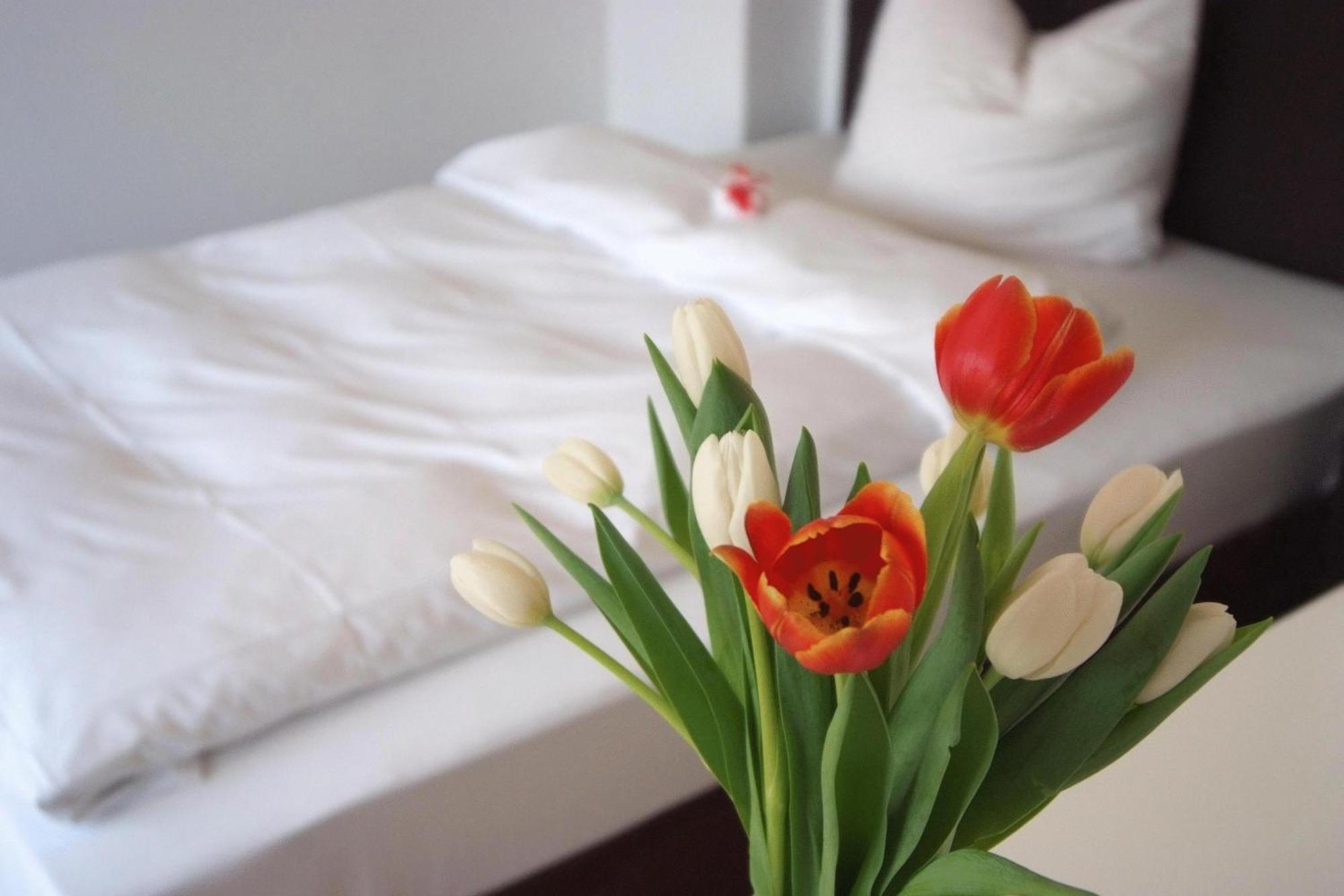 Aparthotel Seeger Living Comfort Downtown